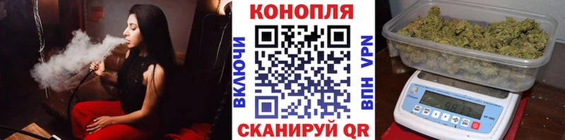 Бошки Шишки Будённовск