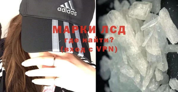 ГАЛЛЮЦИНОГЕННЫЕ ГРИБЫ Богданович