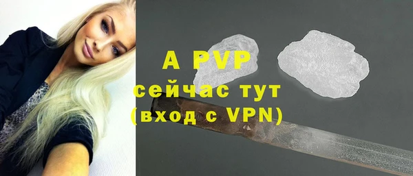 ГАЛЛЮЦИНОГЕННЫЕ ГРИБЫ Богданович