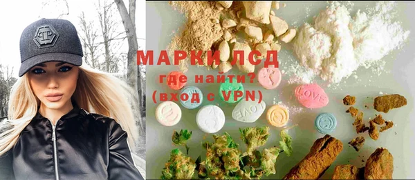 ГАЛЛЮЦИНОГЕННЫЕ ГРИБЫ Богданович