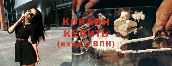 ГАЛЛЮЦИНОГЕННЫЕ ГРИБЫ Богданович