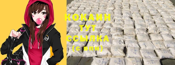 ГАЛЛЮЦИНОГЕННЫЕ ГРИБЫ Богданович