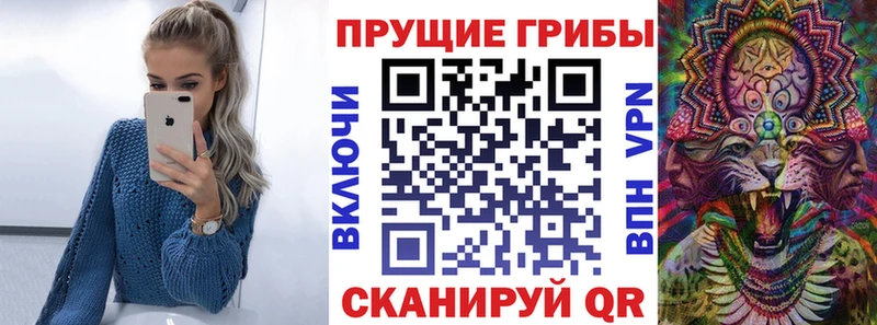Псилоцибиновые грибы GOLDEN TEACHER Будённовск